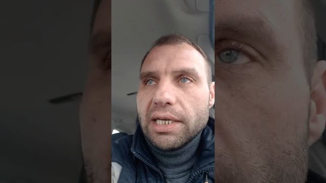 Не законно рубят лес аж щепки летят. Подольск смотреть онлайн