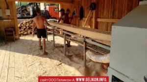 линия для переработки тонкомера в одном станке СПТ-280т, распиловка из бревна на доски за 1 проход