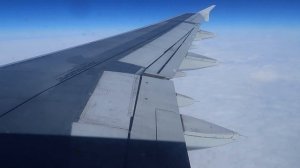 А321 Уральские авиалинии Москва - Санкт-Петербург