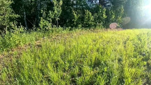 Искали металл, а нашли ТОП места для рыбалки | Шикарные озёра | Пермский край смотреть онлайн