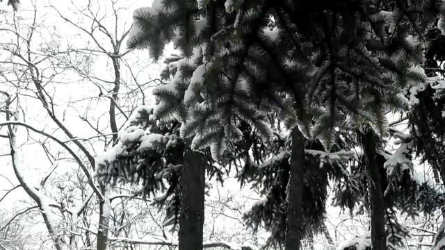 Зимняя прогулка. Парк кованых фигур смотреть онлайн