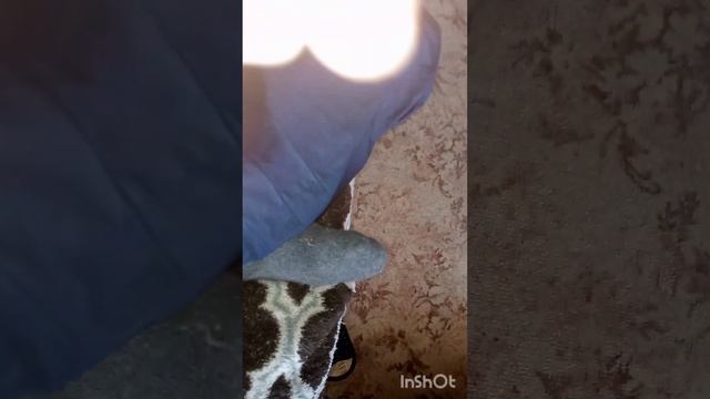 разбираем динамик от сабвуфера смотреть онлайн