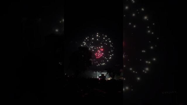 Independence Day 2023 Roseville #сша #сакраменто #california #sacramento #переездвсша