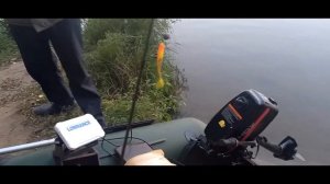 Москва река. Рыбалка , отдых, ловля хищника. д.Маришкино.