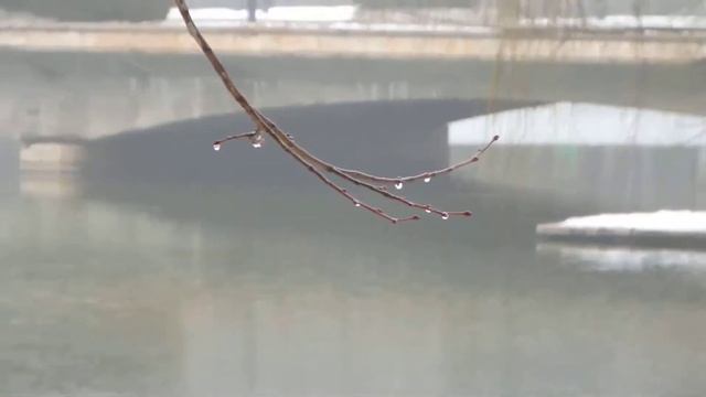 olympus stylus sp 100 lake смотреть онлайн