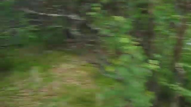 Branch River Banya Revisited смотреть онлайн