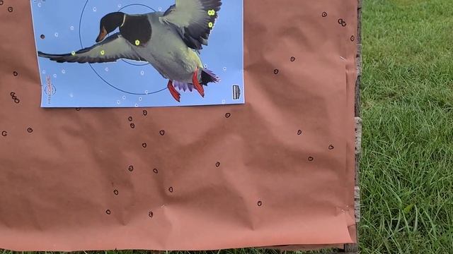 Federal Speed-Shok 2-3/4" 1-1/8oz Steel #2 Pattern Test W/ Remington 11-87 & Stock Mod Choke смотреть онлайн