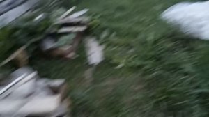 Кормим слизней крупой, переделка капельного полива + обзор огорода 2023 07 24