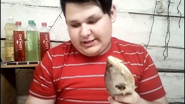 DIY|ЖЕСТЬ|Спиннер из рыбы|Своими руками