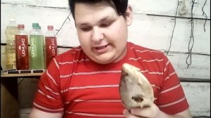 DIY|ЖЕСТЬ|Спиннер из рыбы|Своими руками