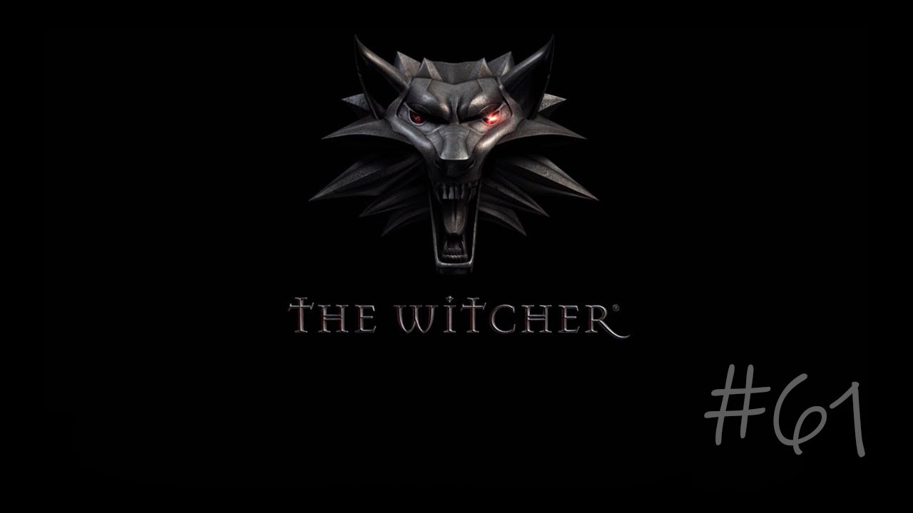 The Witcher #61