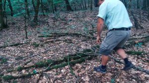 ВЫЖИВАНИЕ в лесу без ничего! Сделал копьё- поймал форель! Bushcraft, Survival!
