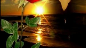 Con te partirò , Andrea Bocelli , by Prince of roses