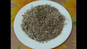 Солод для кваса в домашних условиях