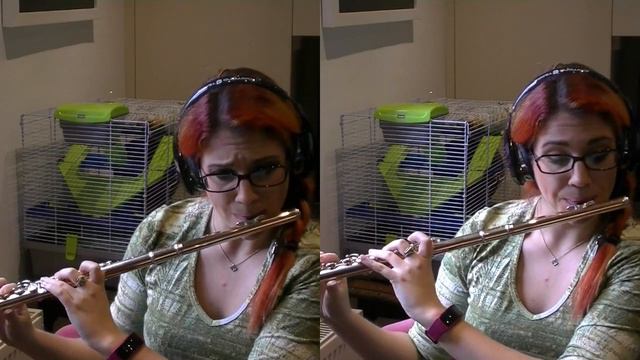 Rimsky-Korsakov, Scheherazade смотреть онлайн