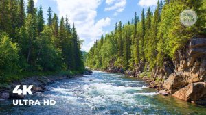 Звуки горной реки | Шум воды и пение птиц | Медитация для успокоения
