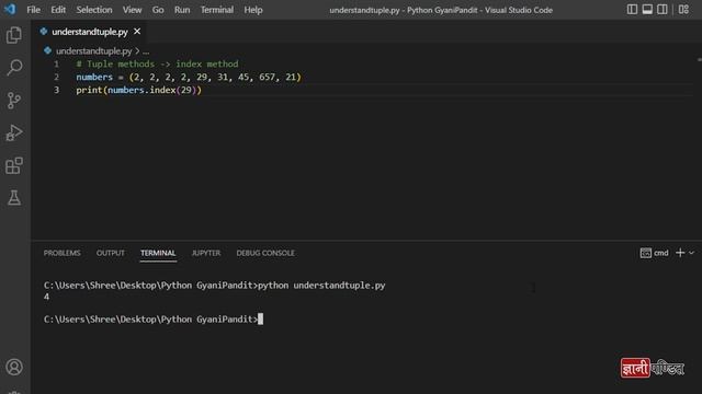 Python Tuple Index | Lecture 38 | Python for Beginners
