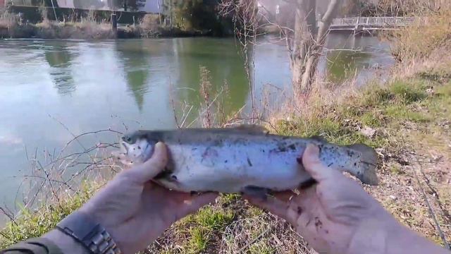 Классно когда клюёт. смотреть онлайн