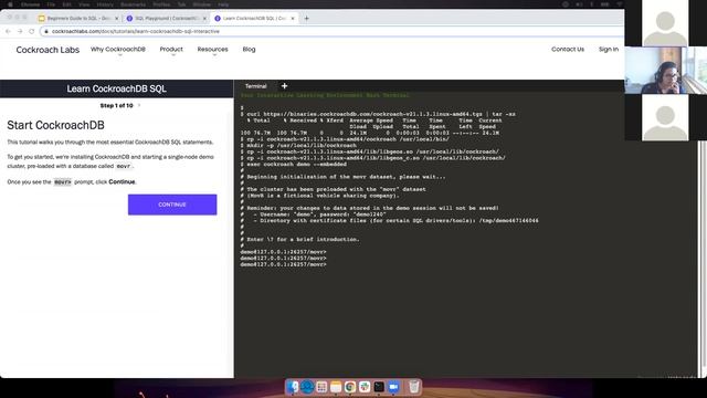 SQL for Beginners with CockroachDB смотреть онлайн