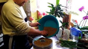 Сушилка для пыльци пчелиной бюджетный вариант для небольшой пасеки! Собираем качественную пыльцу!