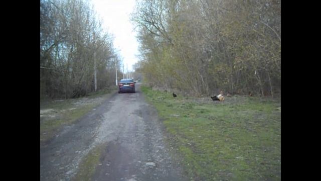 Домик в деревне // Сад и огород // Ремонт комнаты
