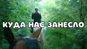 Сели на лошадей и отправились в лес ( Жизнь в деревне )