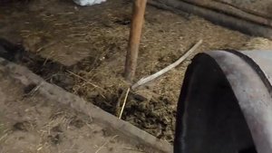 Бетономешалка на 500 литров!!!