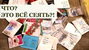 ТОМАТЫ 2020 / Мой выбор