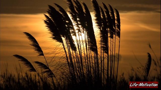 DON'T BE AFRAID TO MAKE DECISIONS. This You Must Remember When You Feel Doubt смотреть онлайн