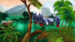 Футаж для видеомонтажа детских фильмов: Попугаи джунглей. Parrots. Jungle.