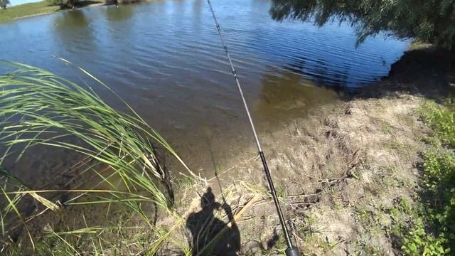 На что ловить щуку в заросшем водоеме. #астрахань #рыбалка #отпуск смотреть онлайн