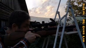 #52 Отстрел Крал Роментон Kral R-Romentone калибр 5,5 мм на дистанции 50 метров на открытом воздухе