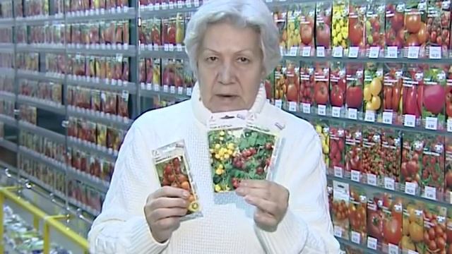 Советы тети Тани. Томаты черри. смотреть онлайн