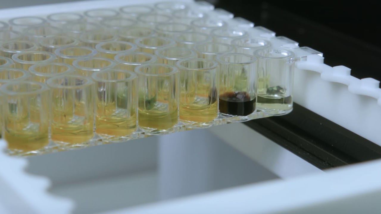 Лаборатория «Тонус» смотреть онлайн