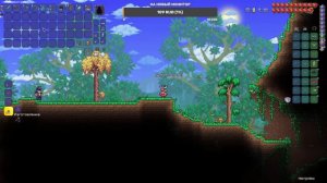 играем в Terraria не знаю что тут еше сказать.