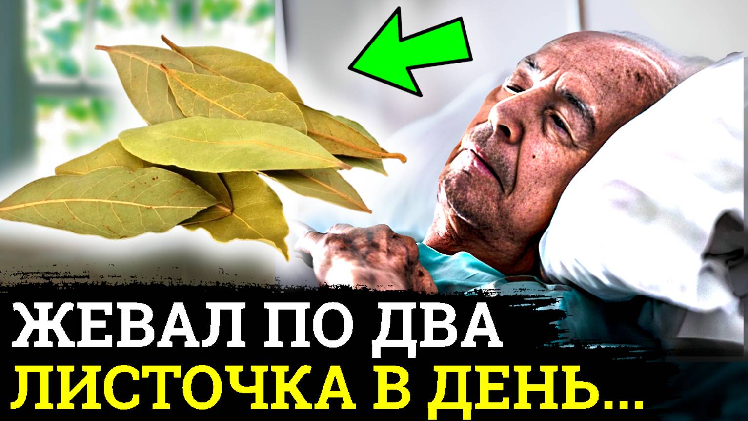 Невероятно! Вот ЧТО ТВОРИТ Лавровый ЛИСТ, жевал 1 РАЗ в ДЕНЬ, а в результате..... смотреть онлайн