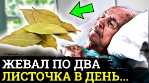 Невероятно! Вот ЧТО ТВОРИТ Лавровый ЛИСТ, жевал 1 РАЗ в ДЕНЬ, а в результате.....