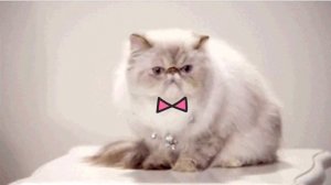 Смотрим коменты / тут все Мирби, кот Бандит и Крис малыш (анимация)