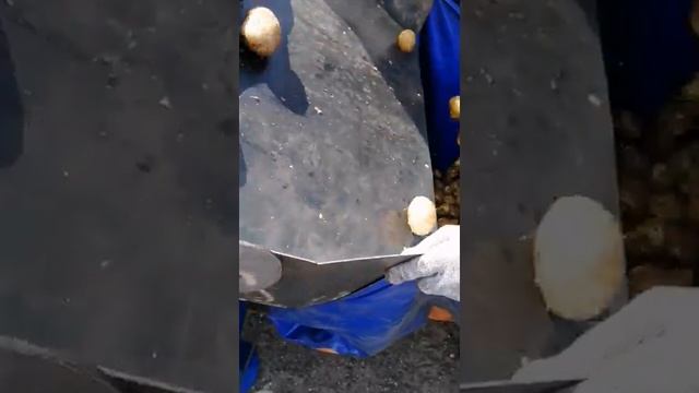 перв испыт сухой чистки смотреть онлайн