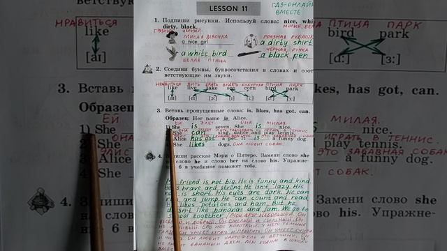 Lesson 30 3 класс рабочая тетрадь. Английский язык 3 класс рабочая тетрадь 1 часть стр 54.