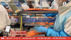 Рыбный завод в Польше. Самое подробное видео! #рыбныйзавод #работавПольше #заводыПольши