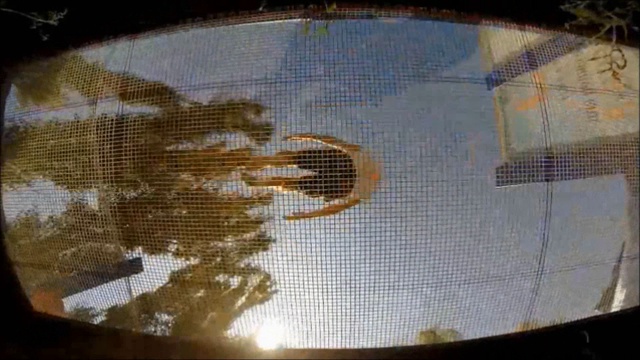 Trampoline Tricks Session  ТРЮКИ НА БАТУТЕ 