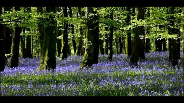 Амулет на удачу своими руками смотреть онлайн