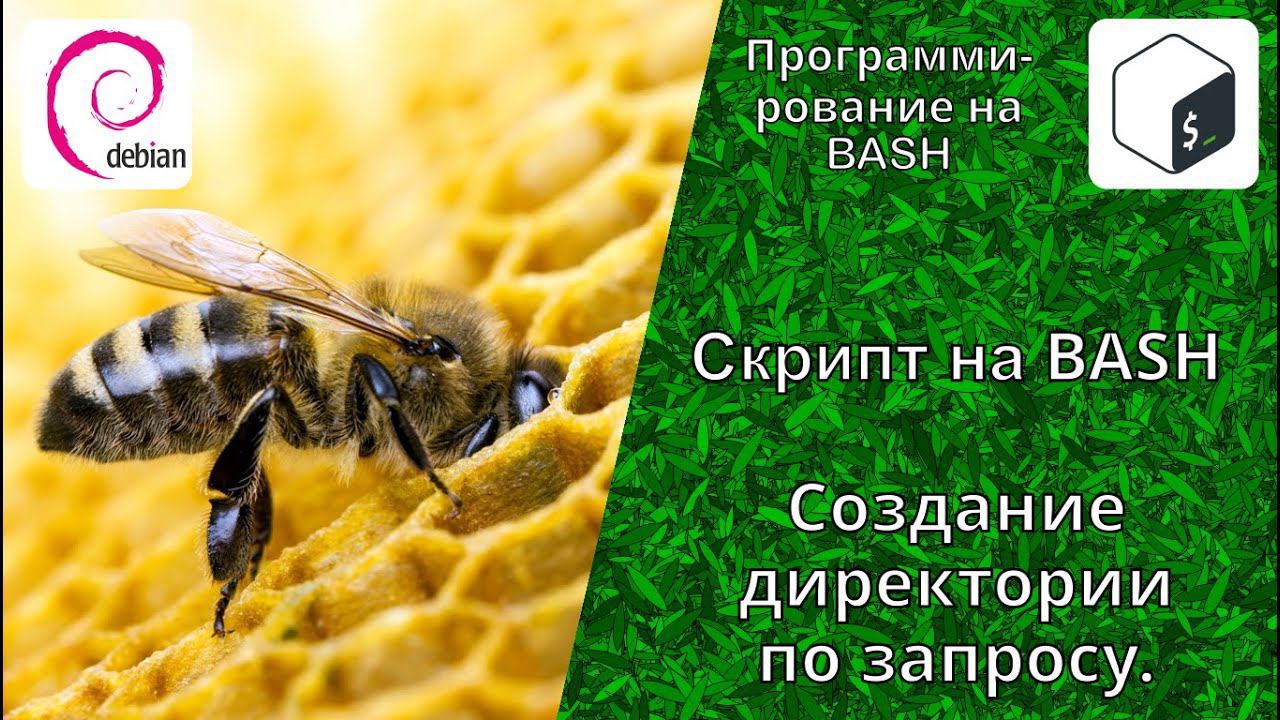 Создание BASH скрипта для работы с директориями. Создание директории по условию в BASH скрипте.