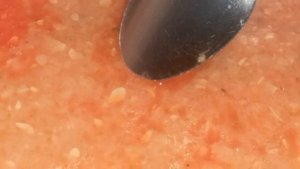 Кабачкова ікра з пажитником.  Консервація на зиму. Домашній рецепт.