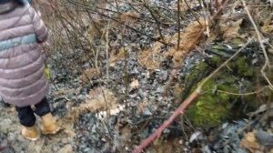 Экстремальный туризм, санаторий "Приднепровский"