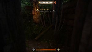 Kingdom Come: Deliverance. Престол игроков. Как получить Нуцкелавеэ - лошадь пана Лукаша.