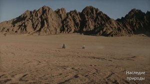 Впитай в себя энергию