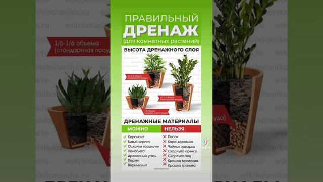 Правильный дренаж для комнатных цветов!