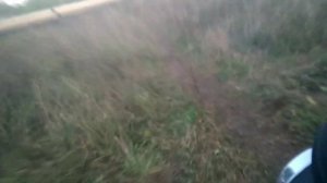 Тест-драйв редкого мотоцикла Иж Юпитер 5